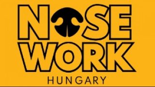 Nose Work alapozó - élő tanfolyam (25.01.25)