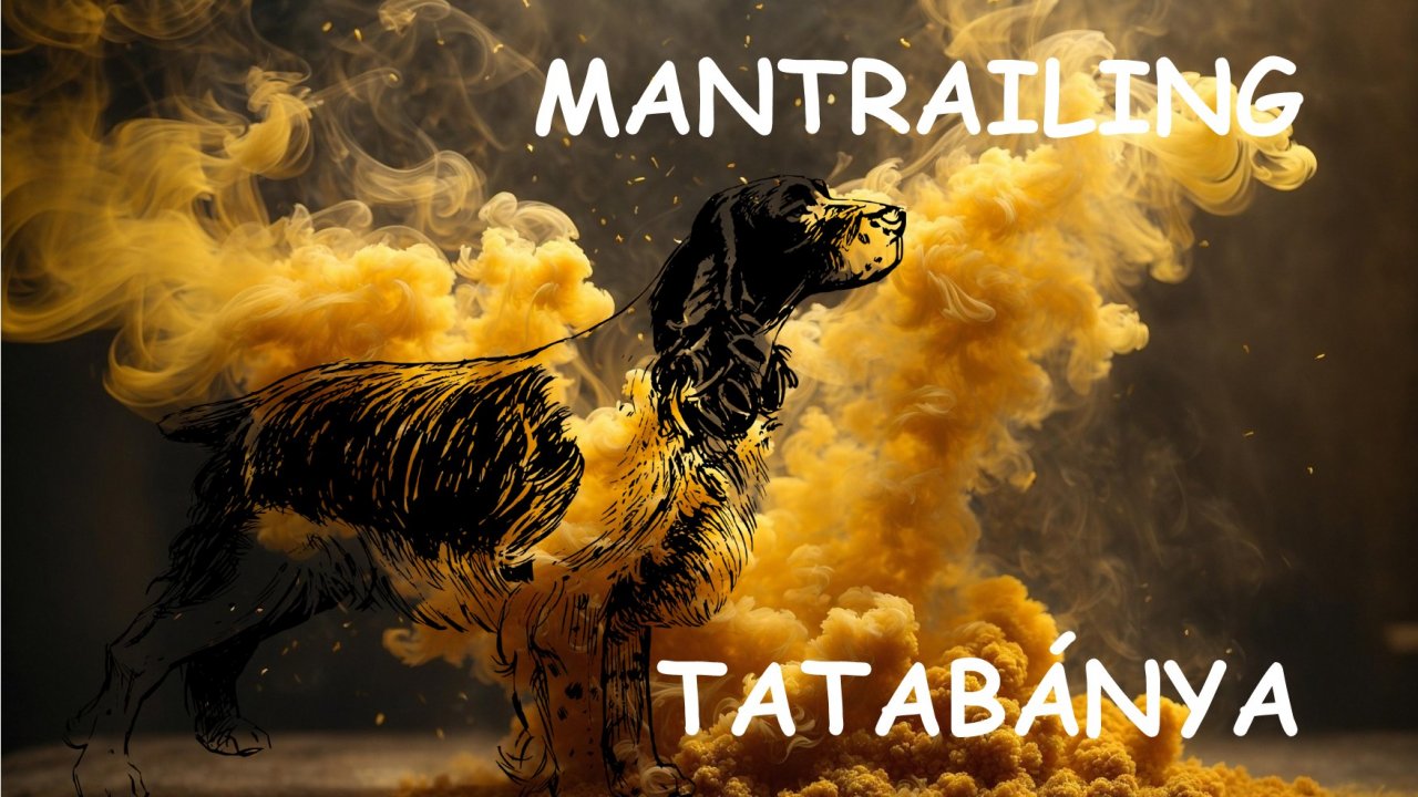 Mantrailing alapozó tanfolyam